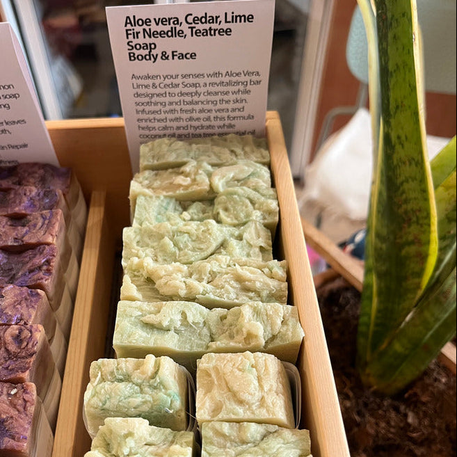 Aloe Vera, Cedar, Lime Fig Needle, Tea Tree